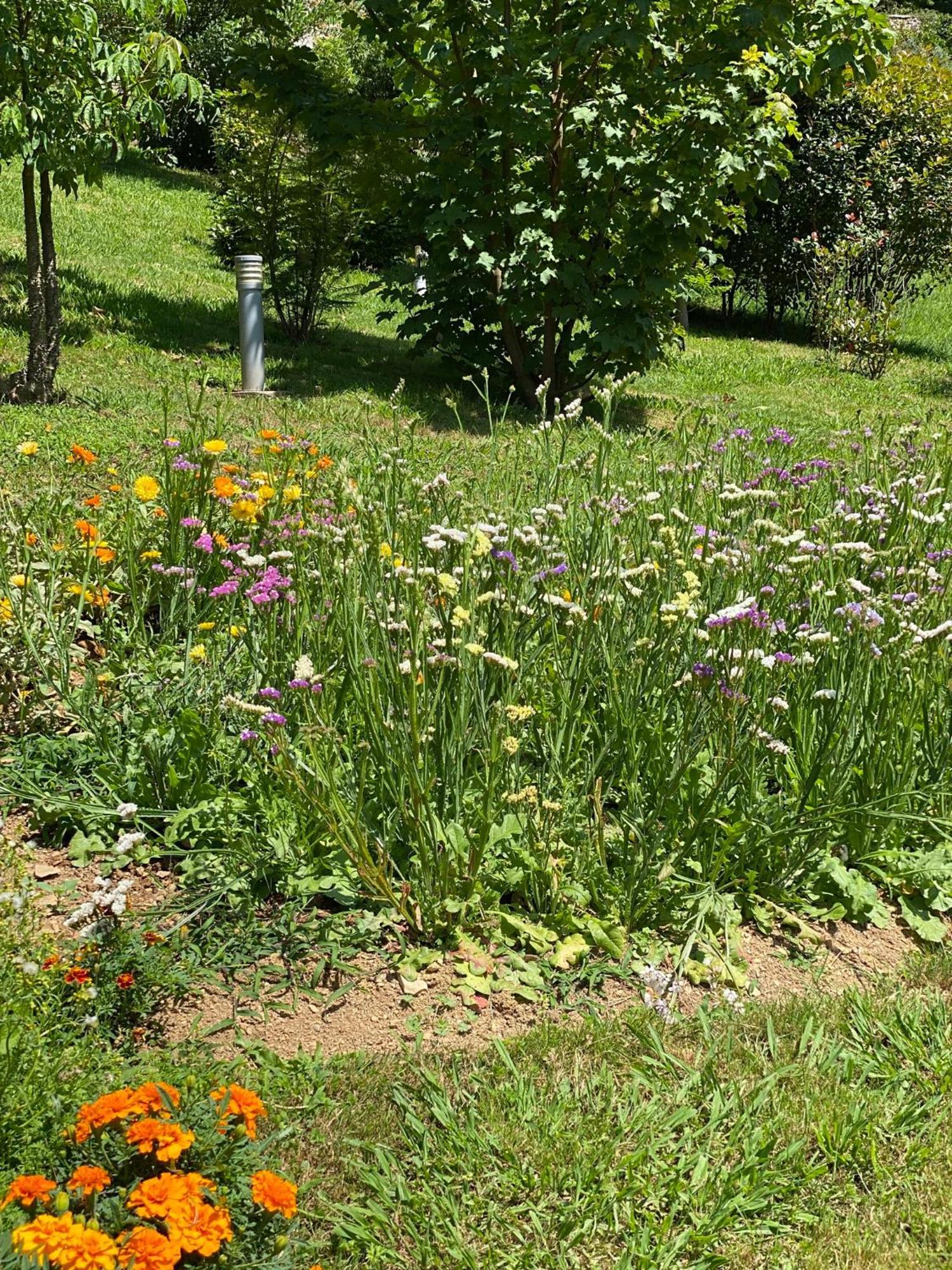 Finca Portizuelo Luarca Buitenkant foto
