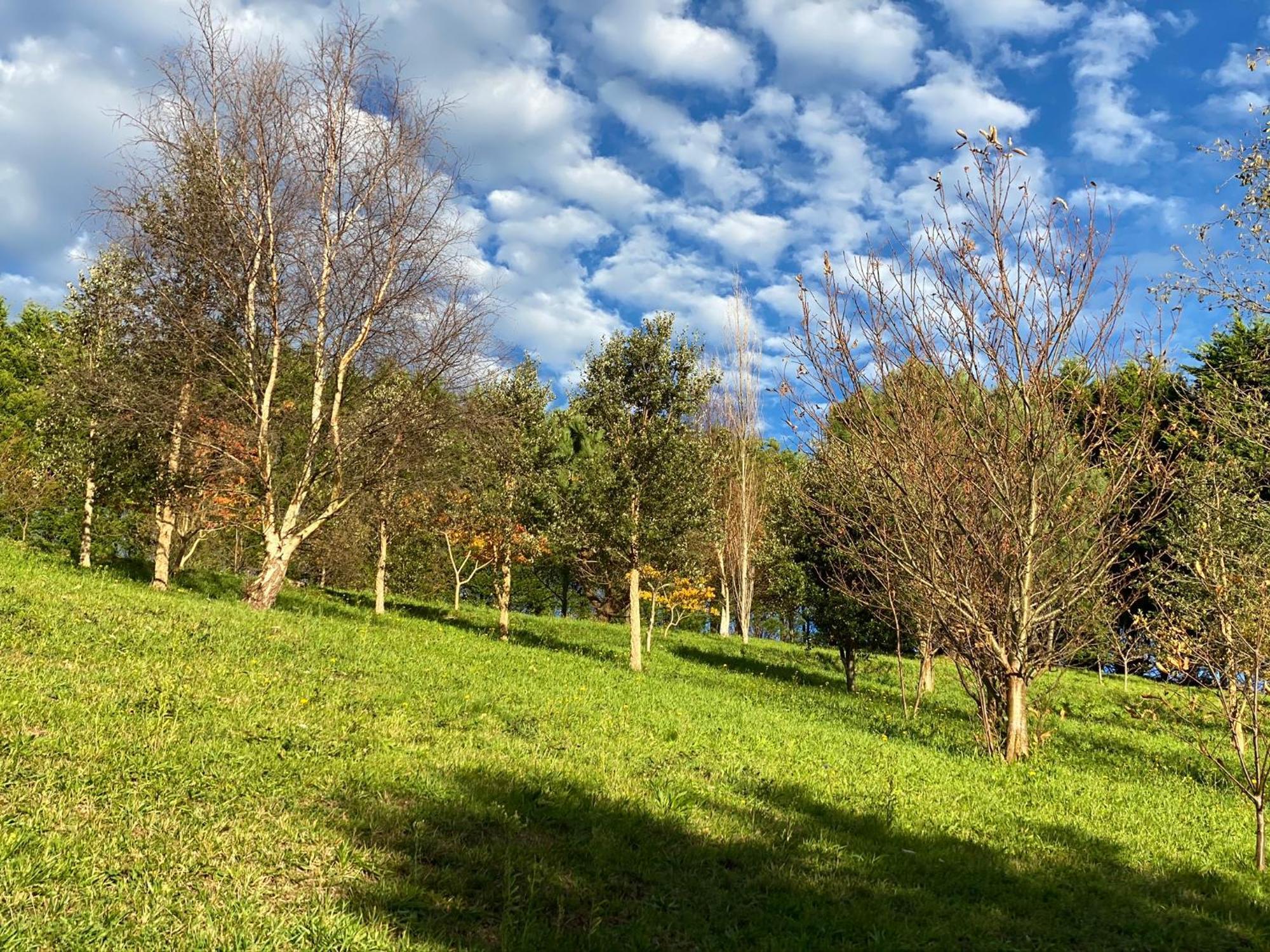 Finca Portizuelo Luarca Buitenkant foto