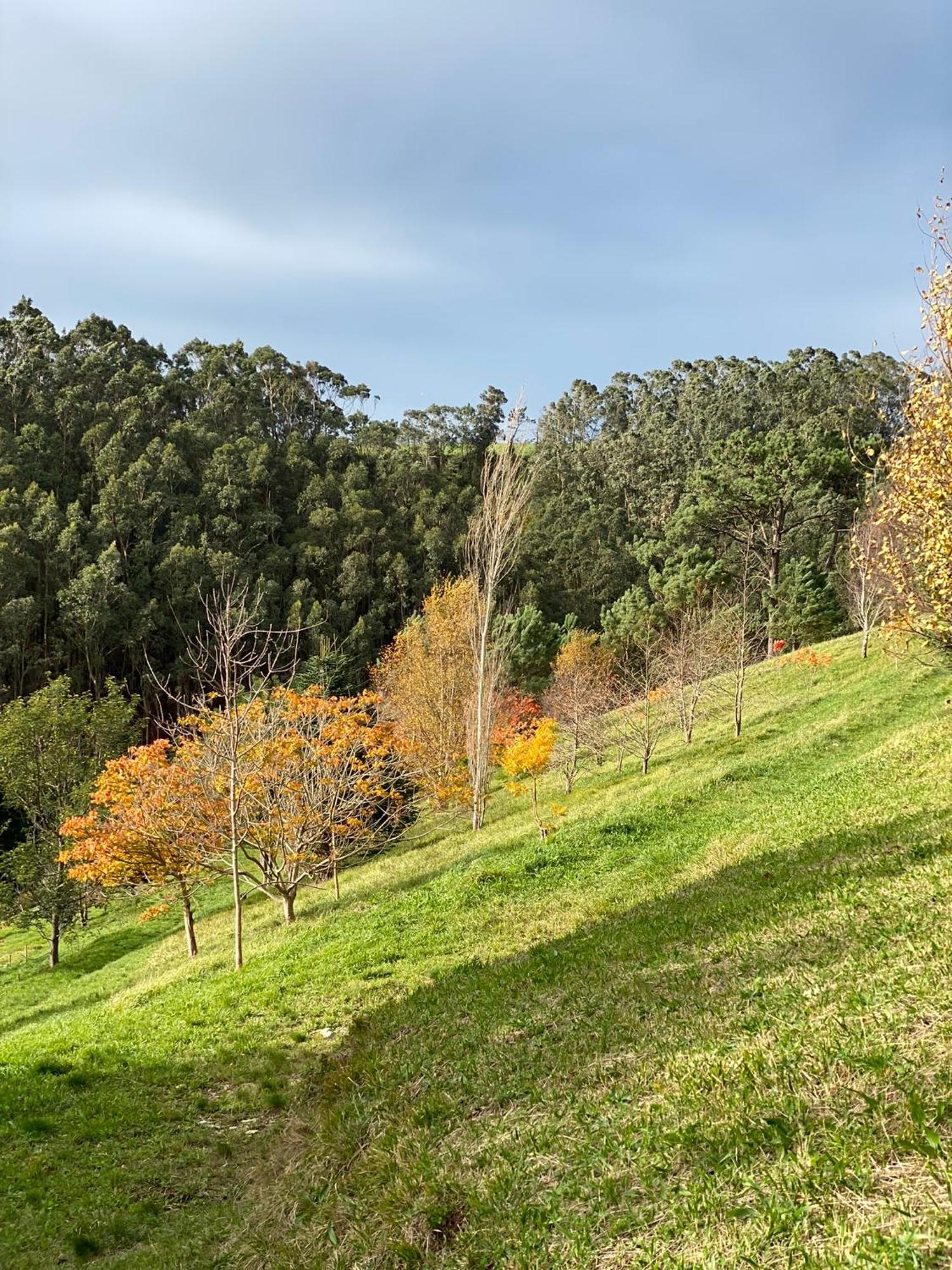 Finca Portizuelo Luarca Buitenkant foto