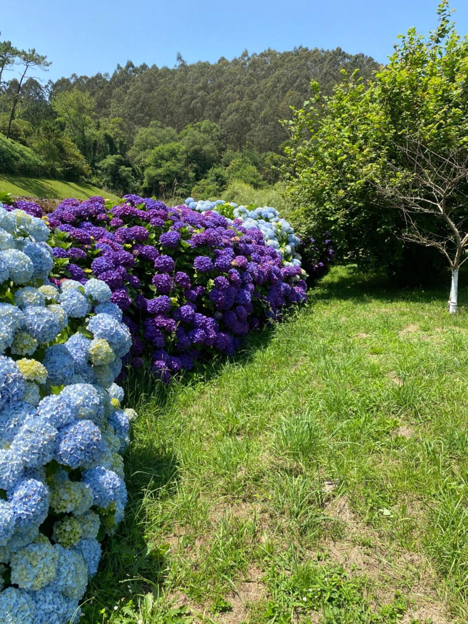 Finca Portizuelo Luarca Buitenkant foto