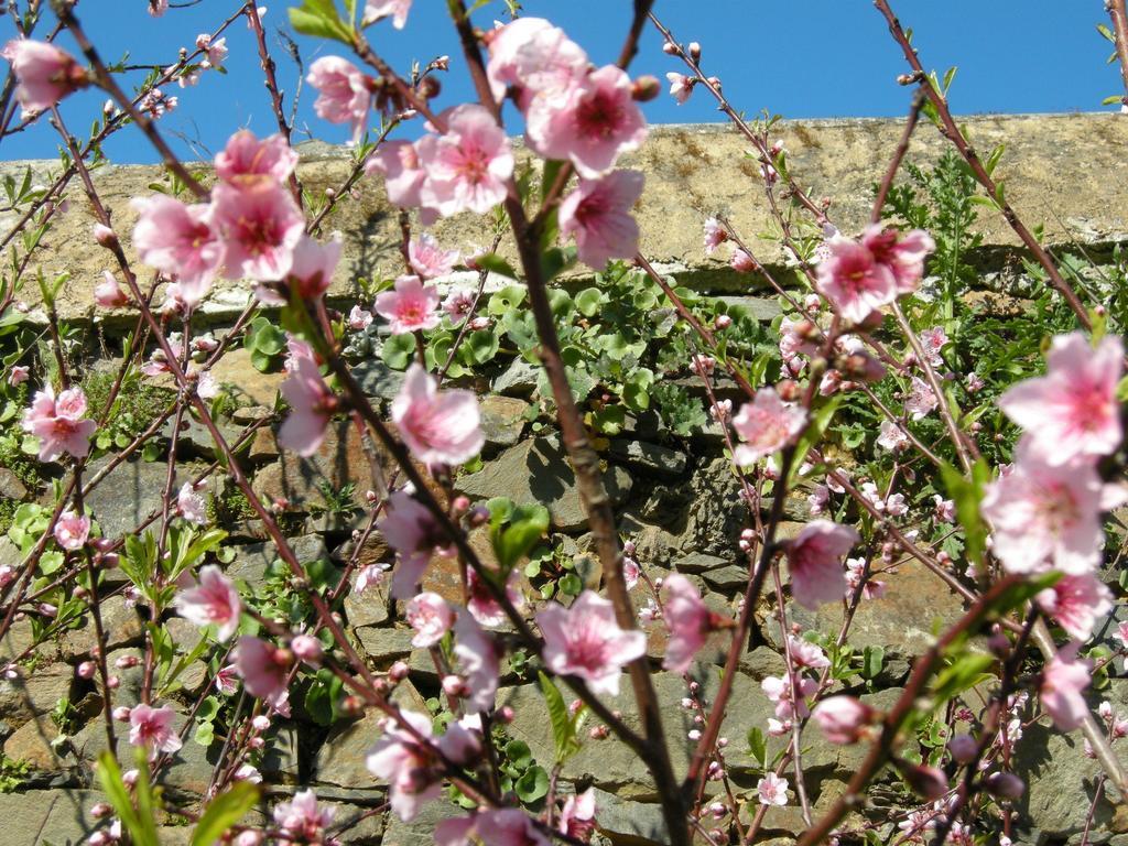 Finca Portizuelo Luarca Buitenkant foto