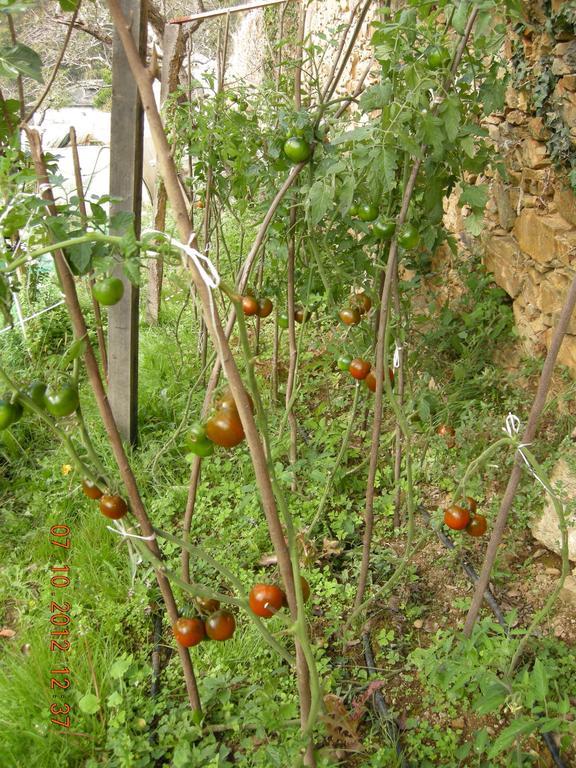 Finca Portizuelo Luarca Buitenkant foto